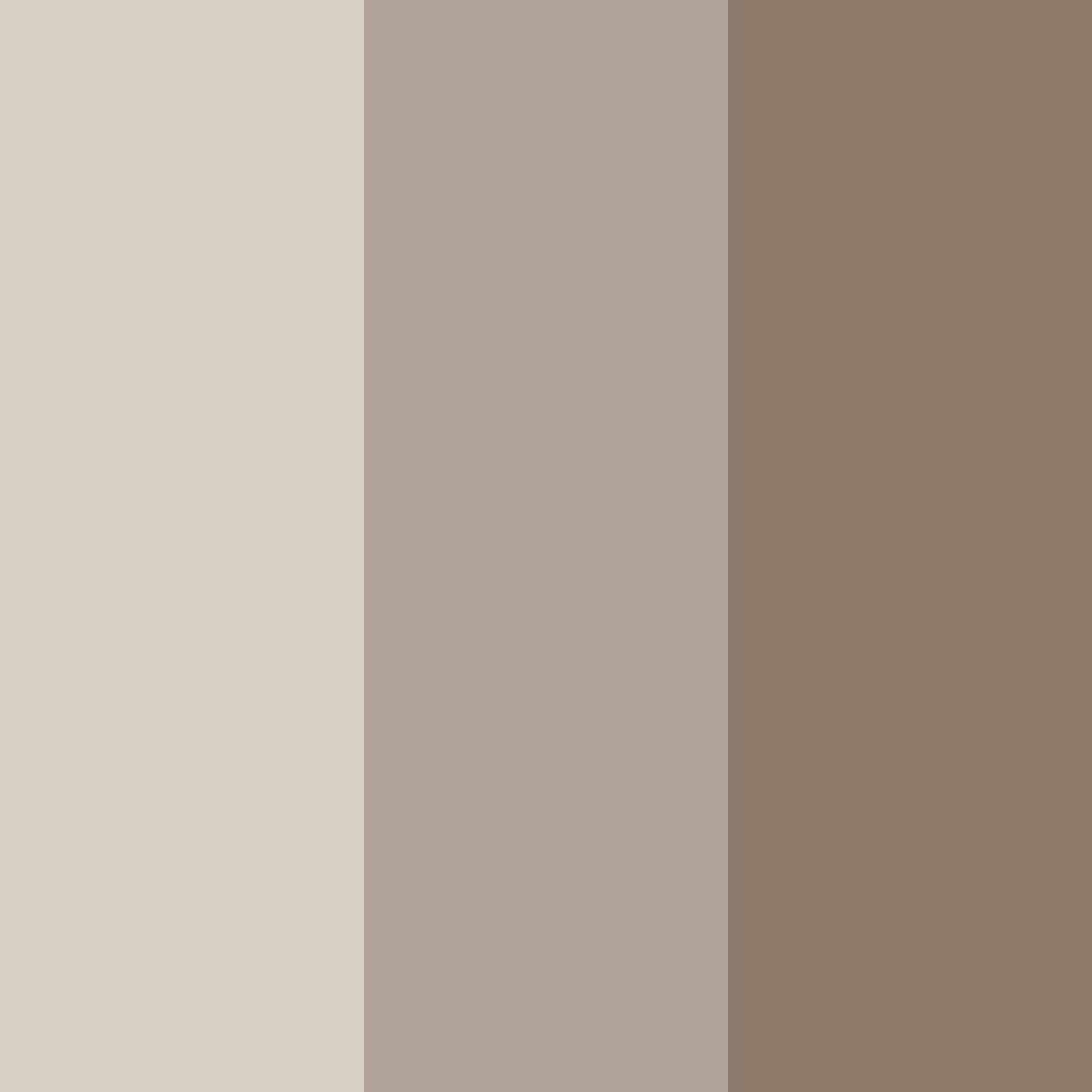 Download muted brown color palette PNG image (square)