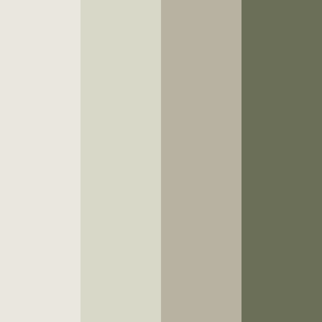 Download warm beige color palette PNG image (square)