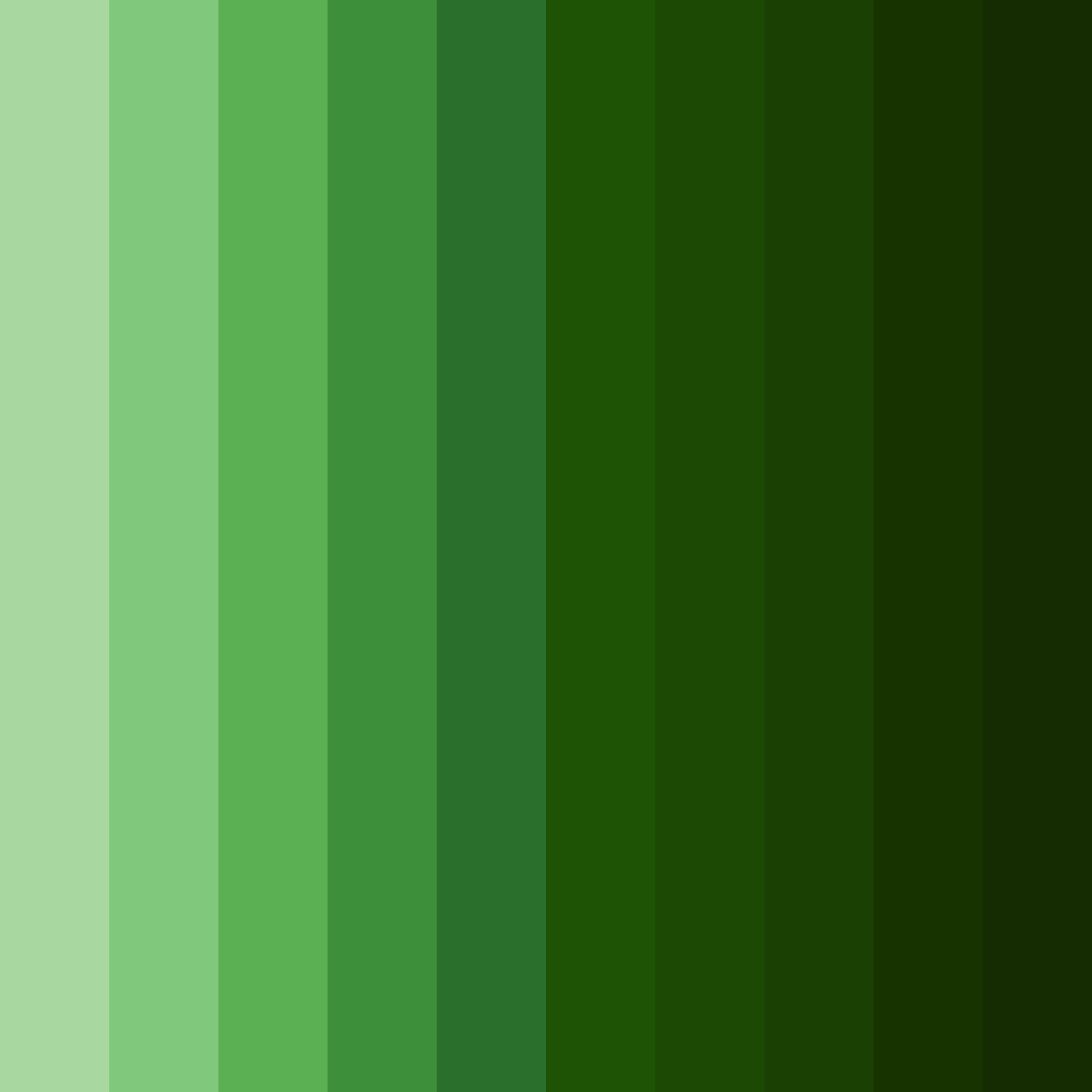 Download emerald canopy color palette PNG image (square)