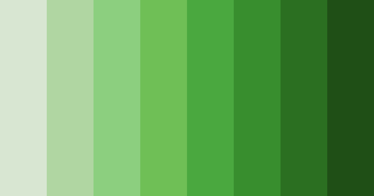 Download emerald embrace color palette PNG image (landscape)