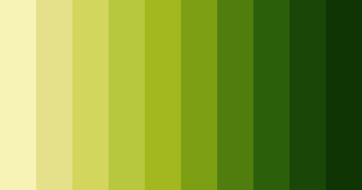 Download sunlit forest canopy color palette PNG image (landscape)