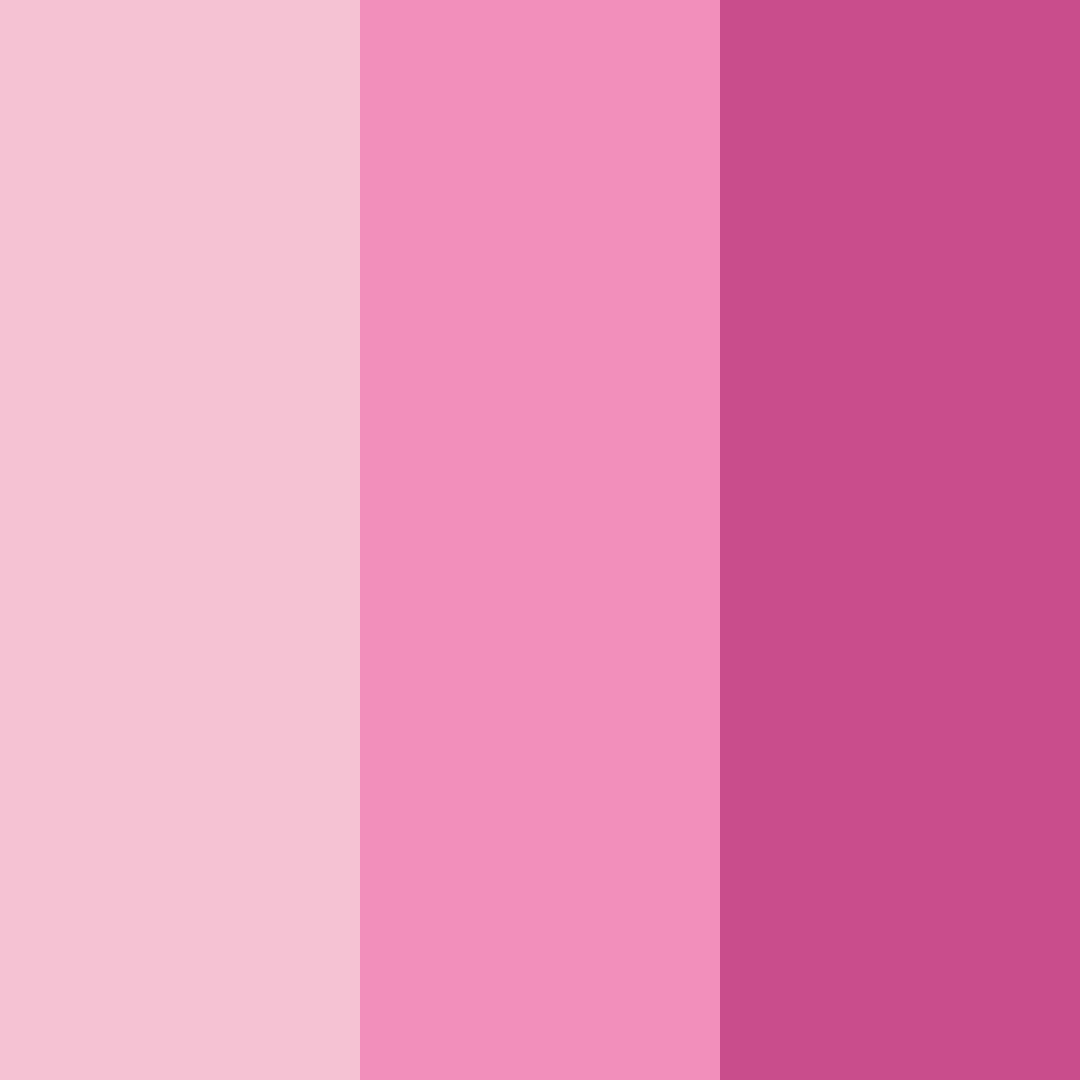 Download pink fashion color palette PNG image (square)