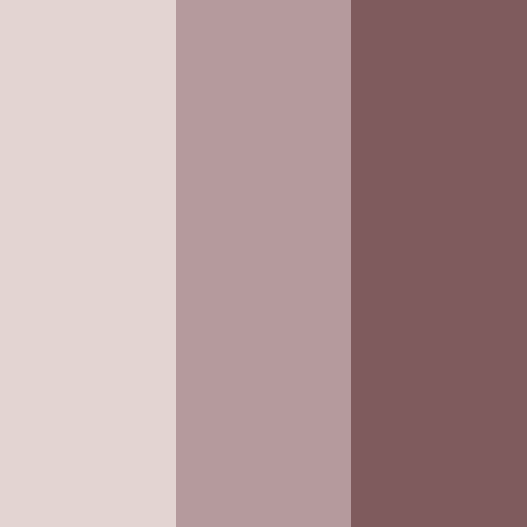 Download muted elegance color palette PNG image (square)