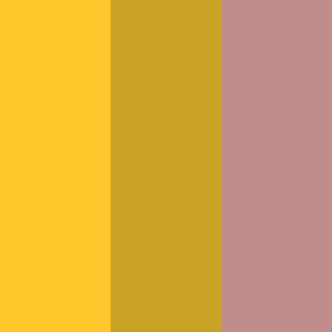 Download golden rose color palette PNG image (square)