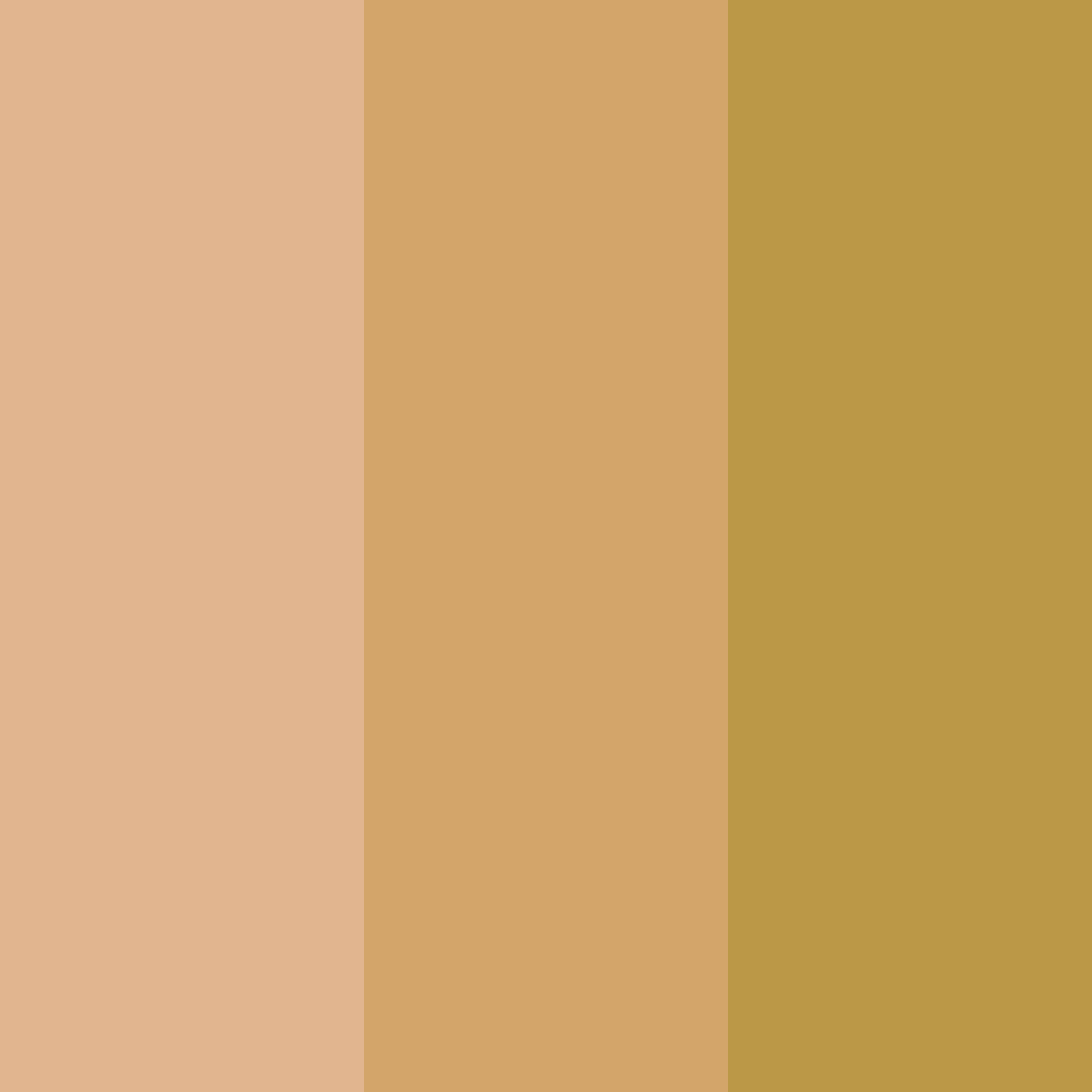 Download honeyed earthtones color palette PNG image (square)