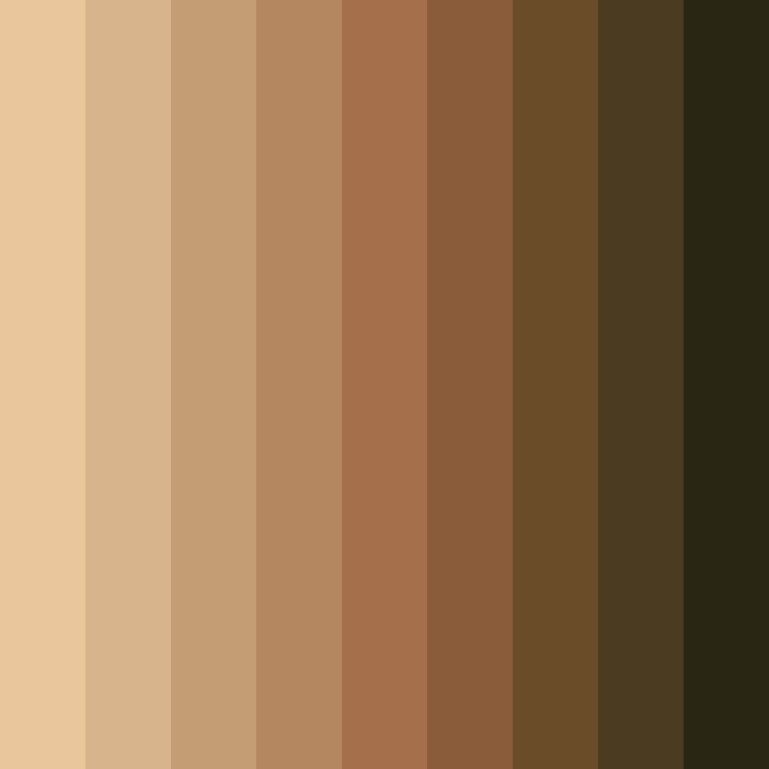 Download sundrenched earthtones color palette PNG image (square)