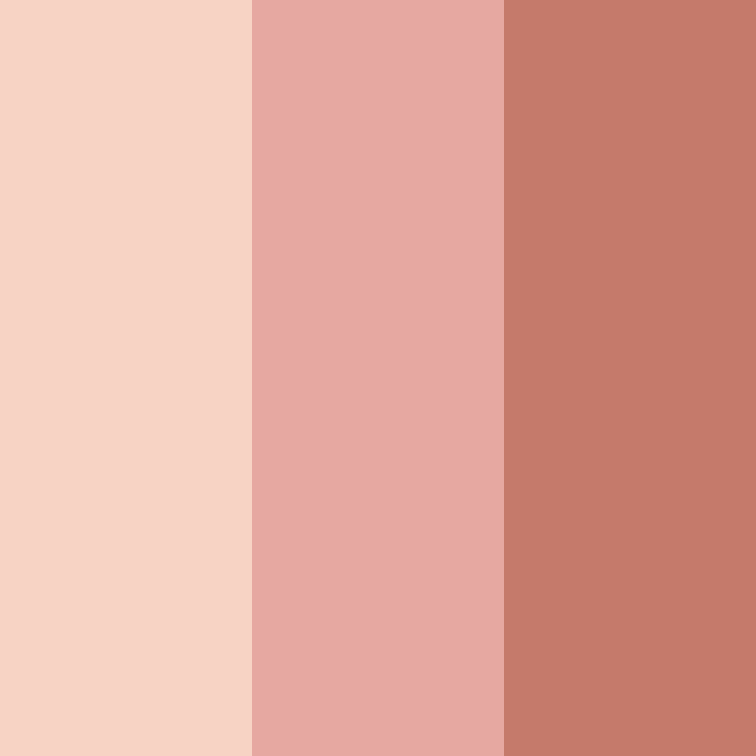 Download rose gold shades color palette PNG image (square)
