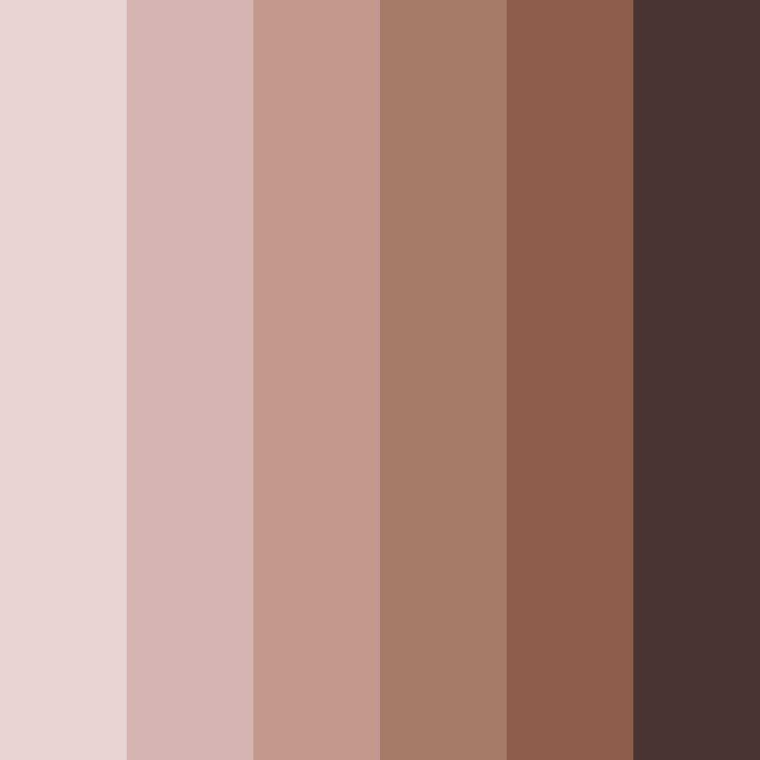 Download dark brown color palette PNG image (square)