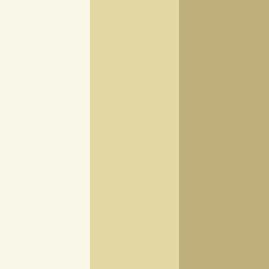 Download sunlit meadow color palette PNG image (square)