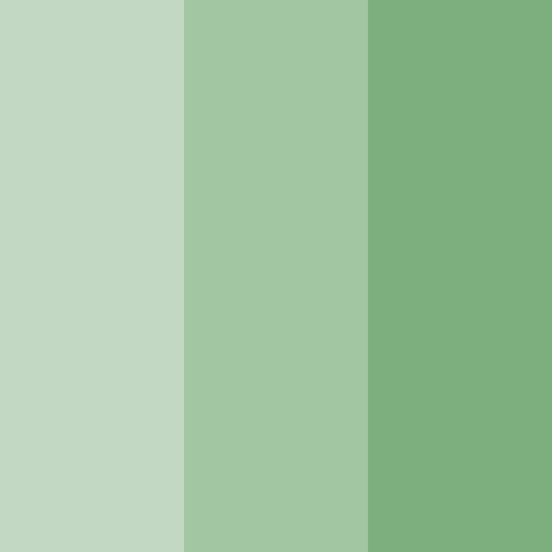 Download whispering greens color palette PNG image (square)