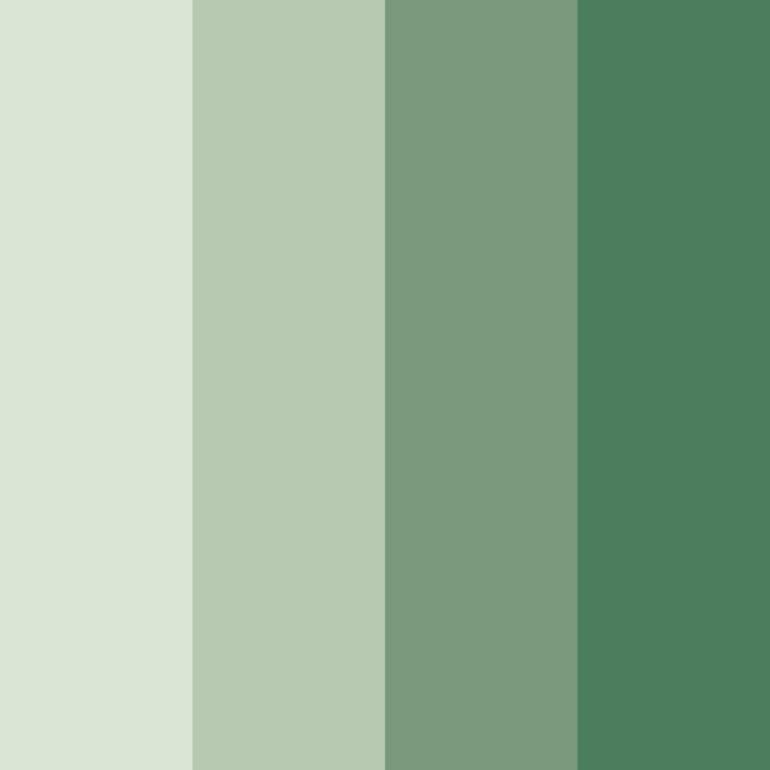 Download sage green color palette PNG image (square)