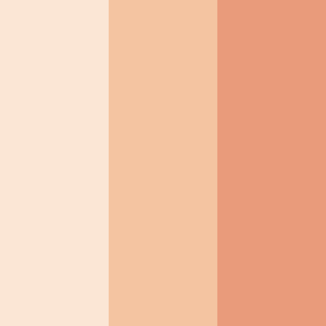 Download peachy shades color palette PNG image (square)