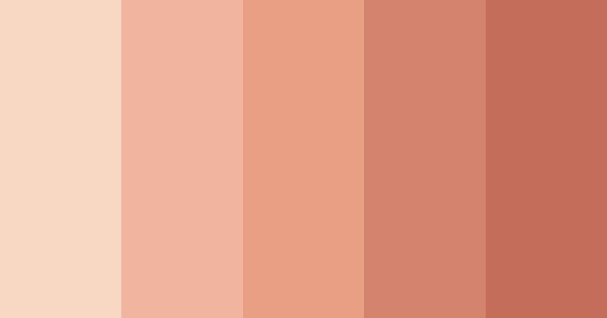 Download sunset petals color palette PNG image (landscape)