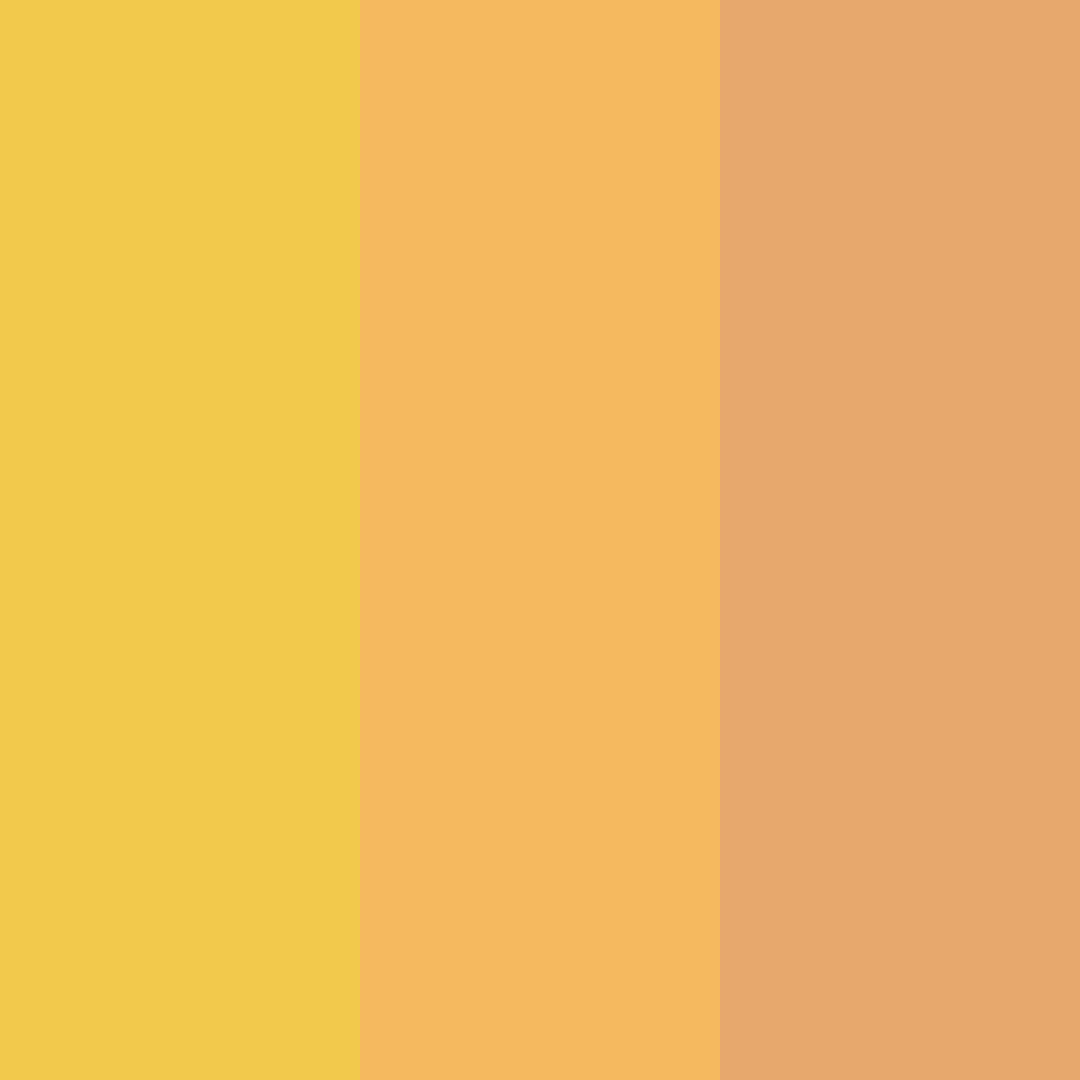 Download honeyed peach bliss color palette PNG image (square)