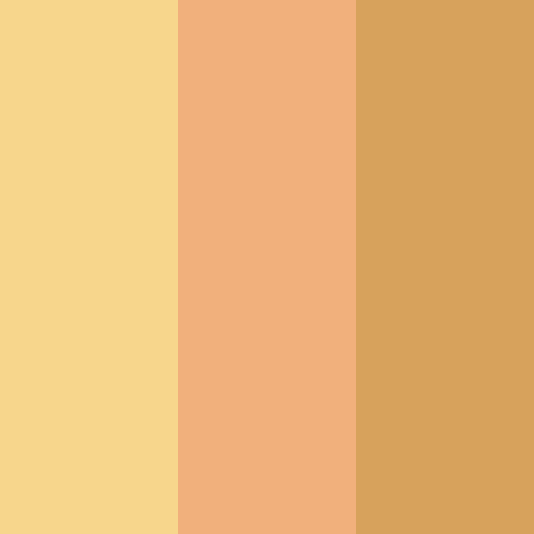 Download honeyed peach dream color palette PNG image (square)