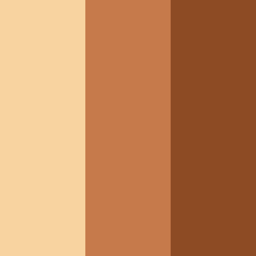 Download savory umami harmony color palette PNG image (square)