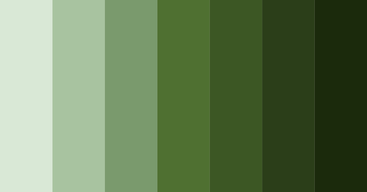 Download dark green and brown forest color palette PNG image (landscape)