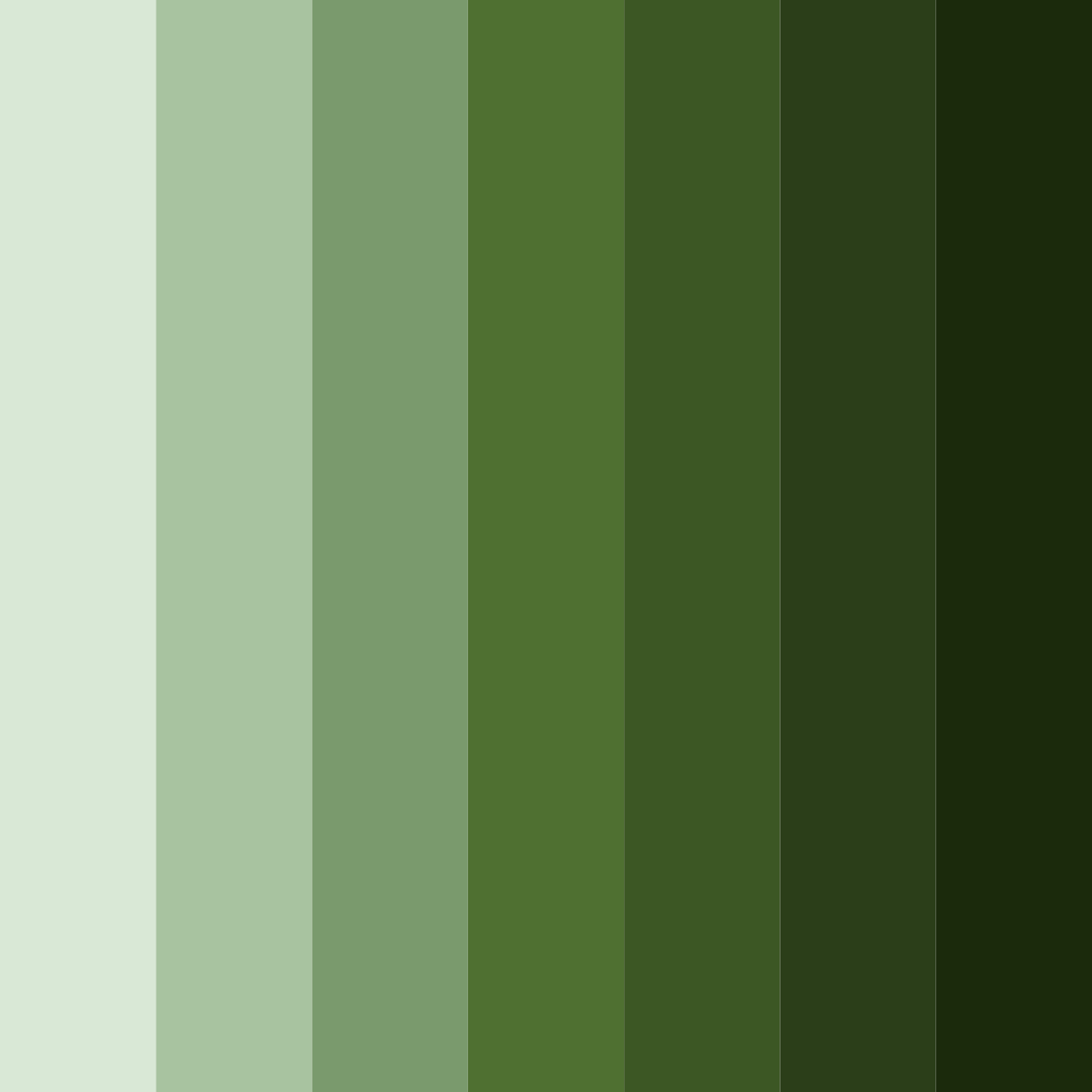 Download dark green and brown forest color palette PNG image (square)