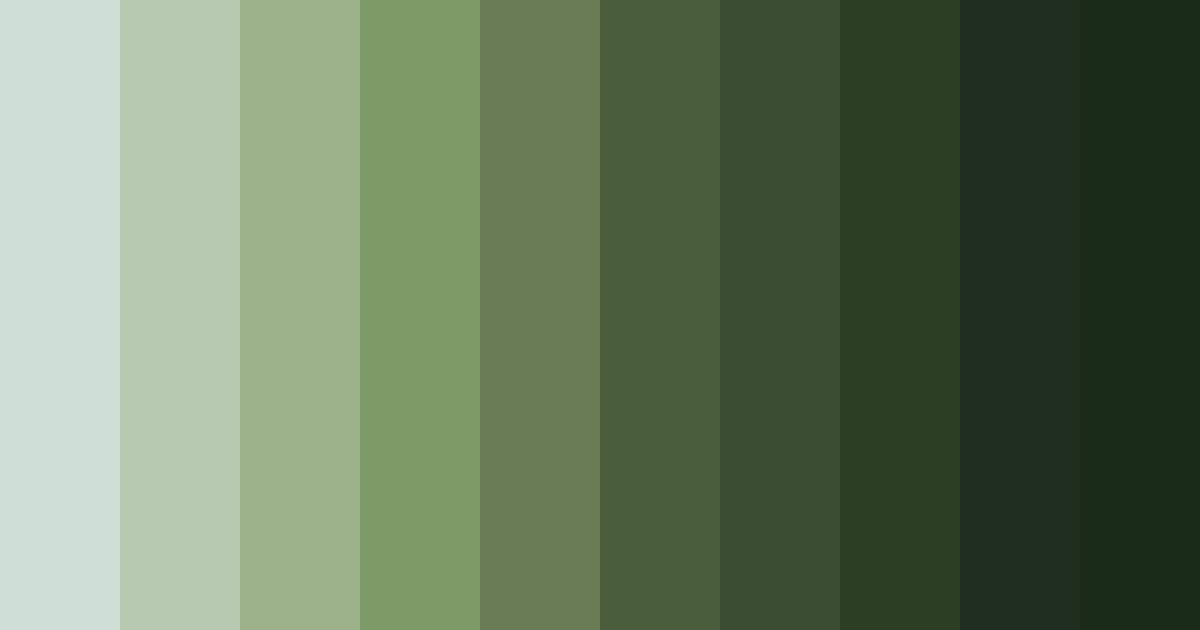 Download forest embrace color palette PNG image (landscape)