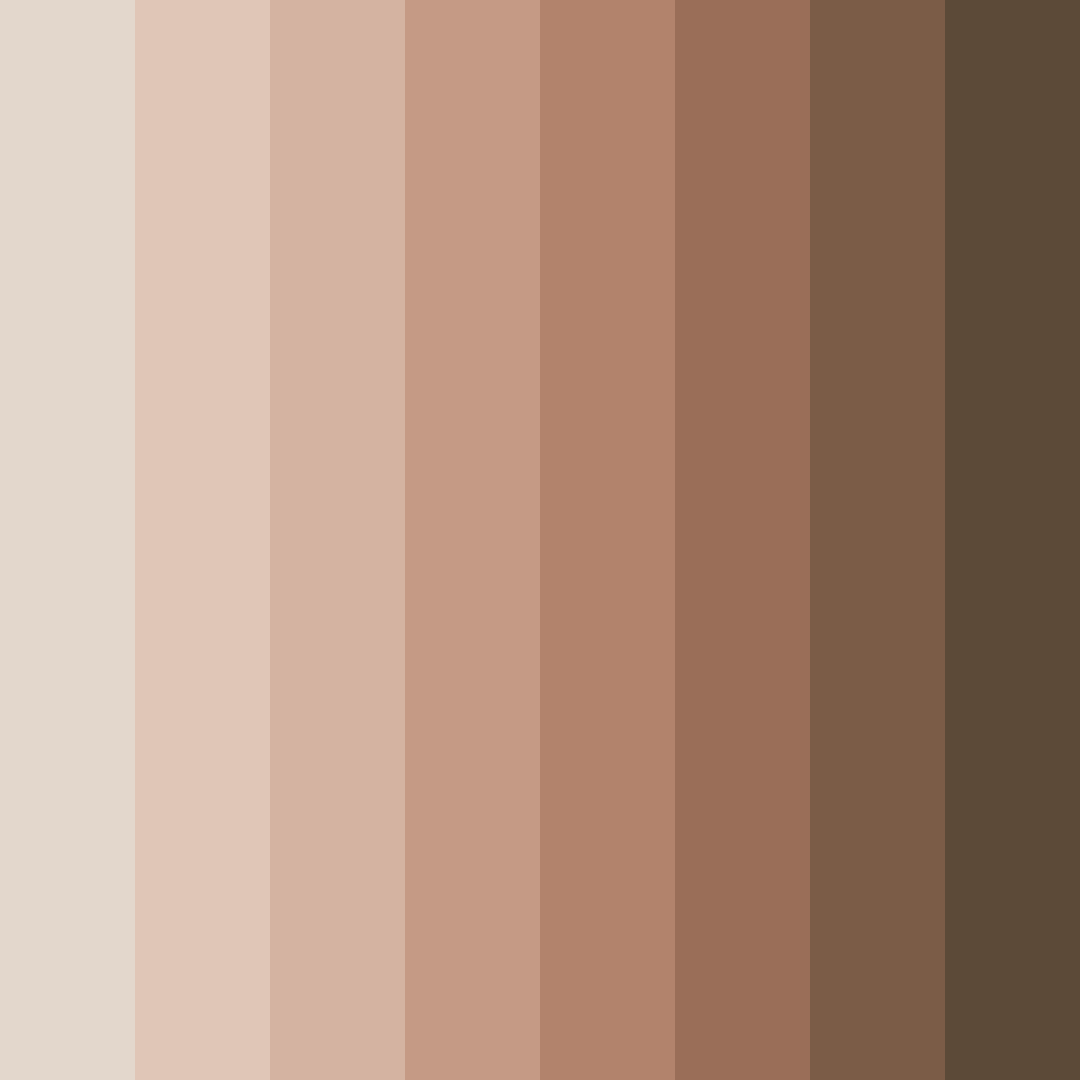 Download earthy embrace color palette PNG image (square)