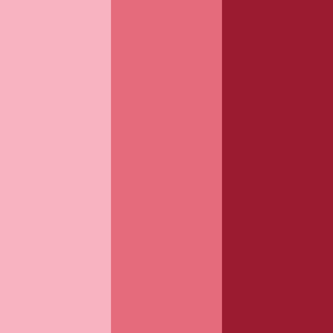Download cherry blossom serenade color palette PNG image (square)