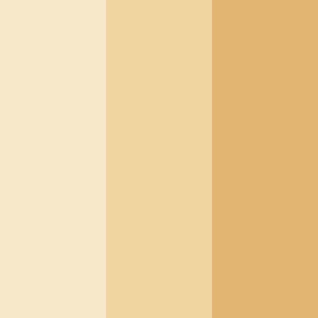 Download light beige color palette PNG image (square)