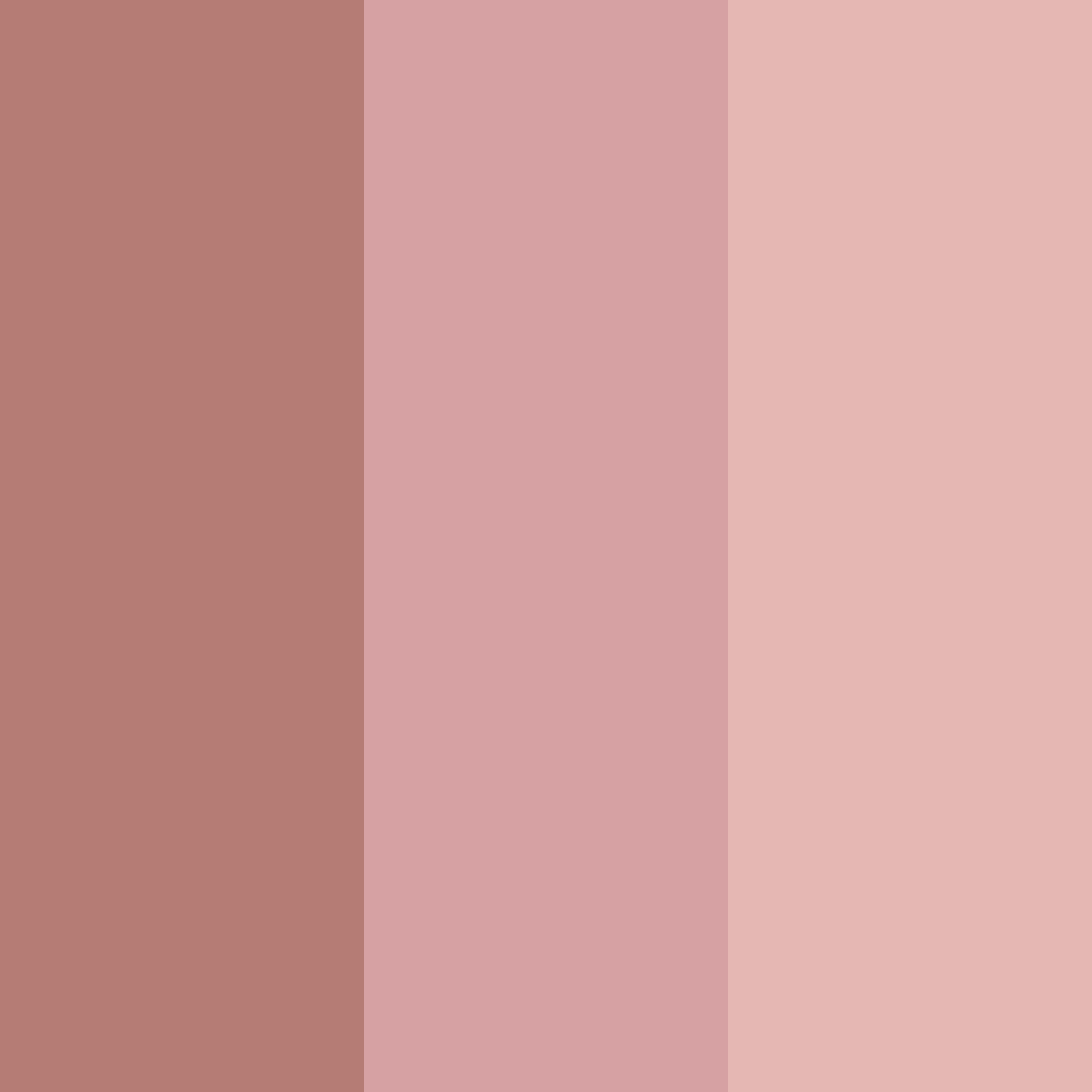 Download rustic rosewood color palette PNG image (square)
