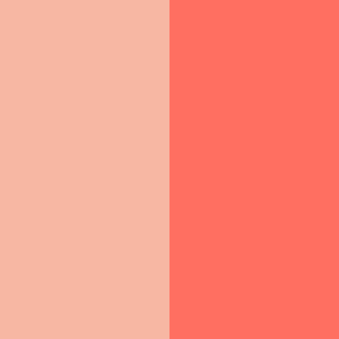 Download coral whispers color palette PNG image (square)