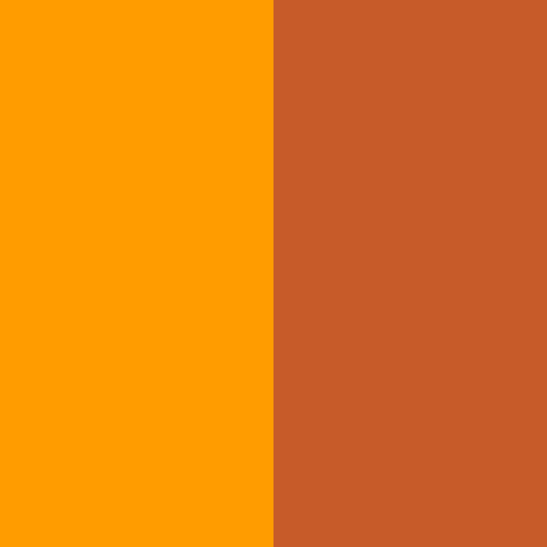 Download citrus ember color palette PNG image (square)