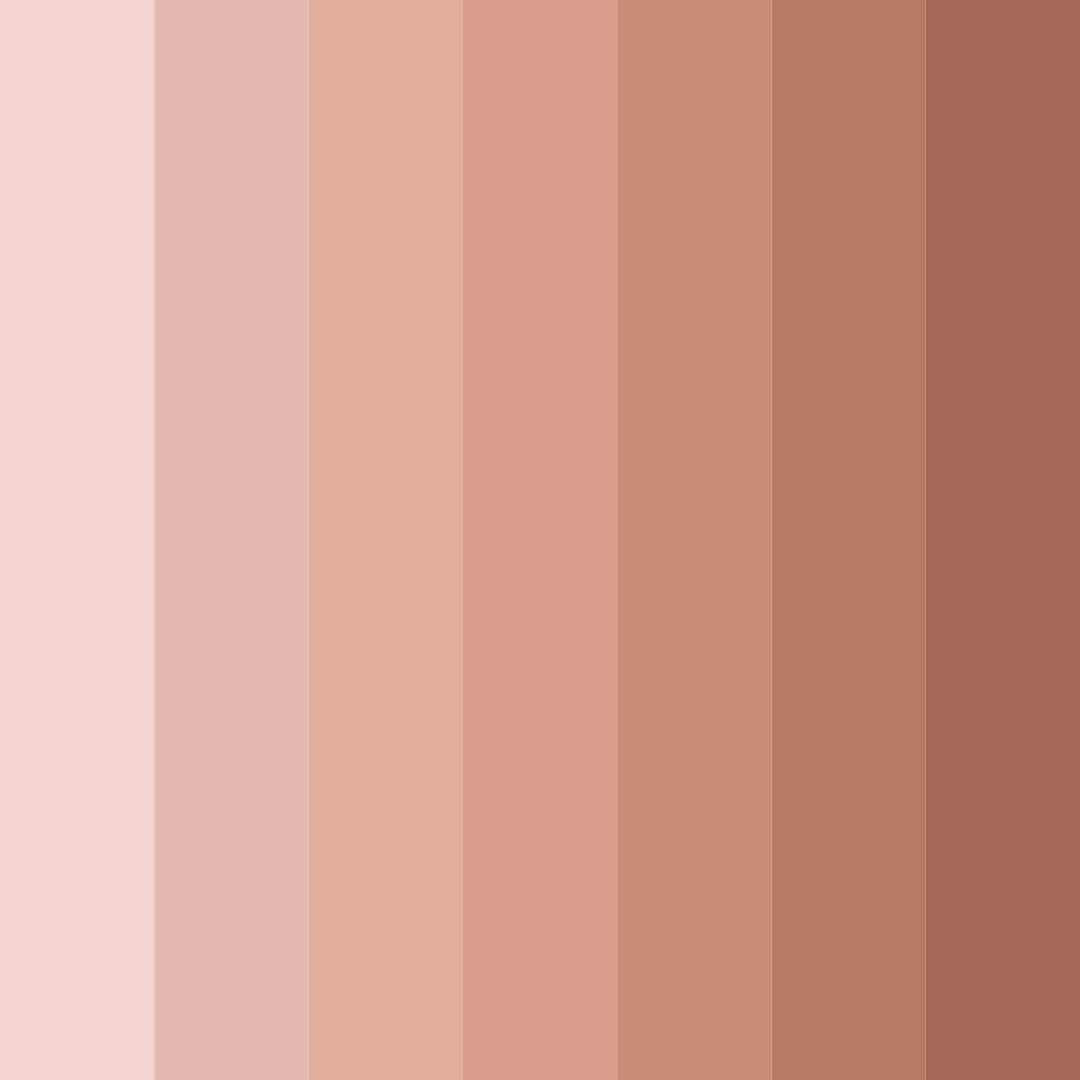 Download blushing earthtones color palette PNG image (square)