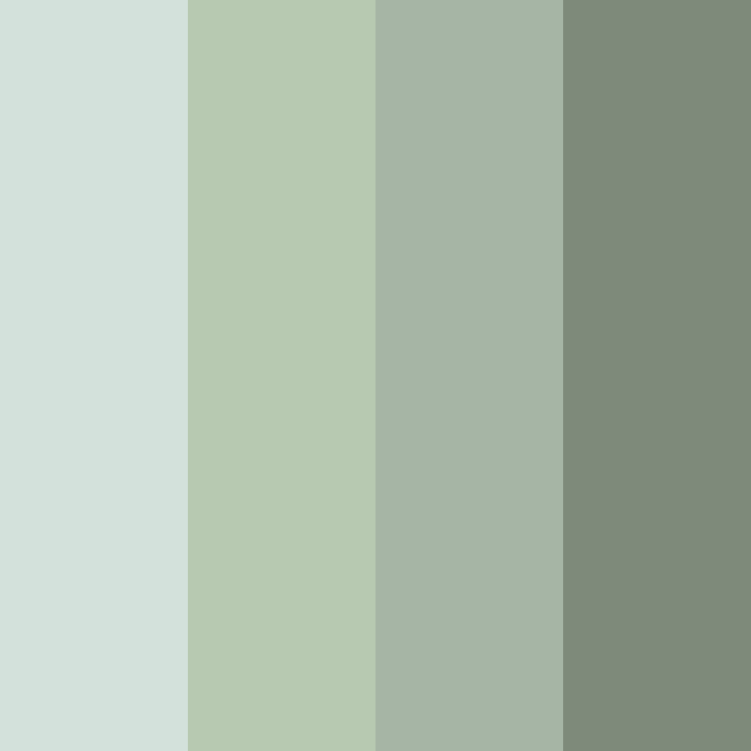 Download whispering ferns color palette PNG image (square)