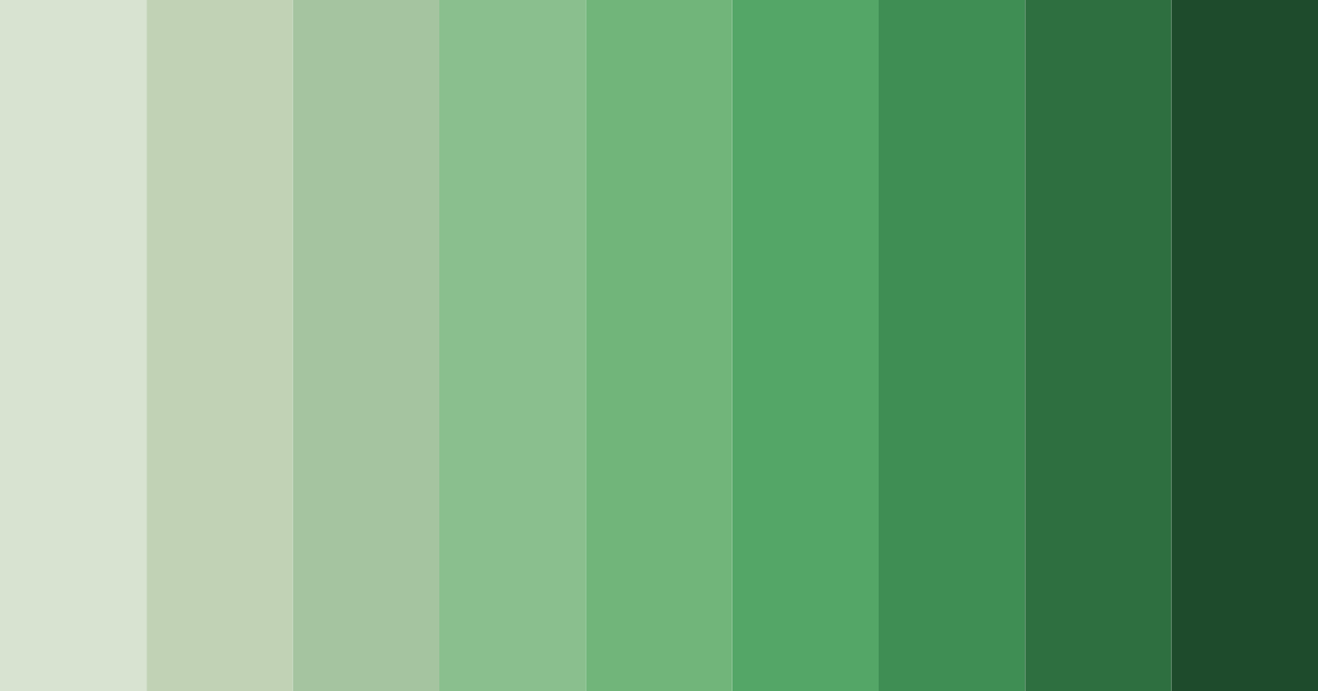 Download sage green serenity color palette PNG image (landscape)