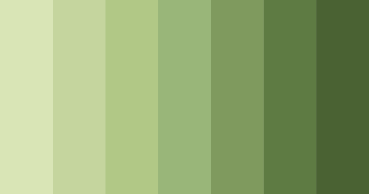 Download olive orchard serenity color palette PNG image (landscape)