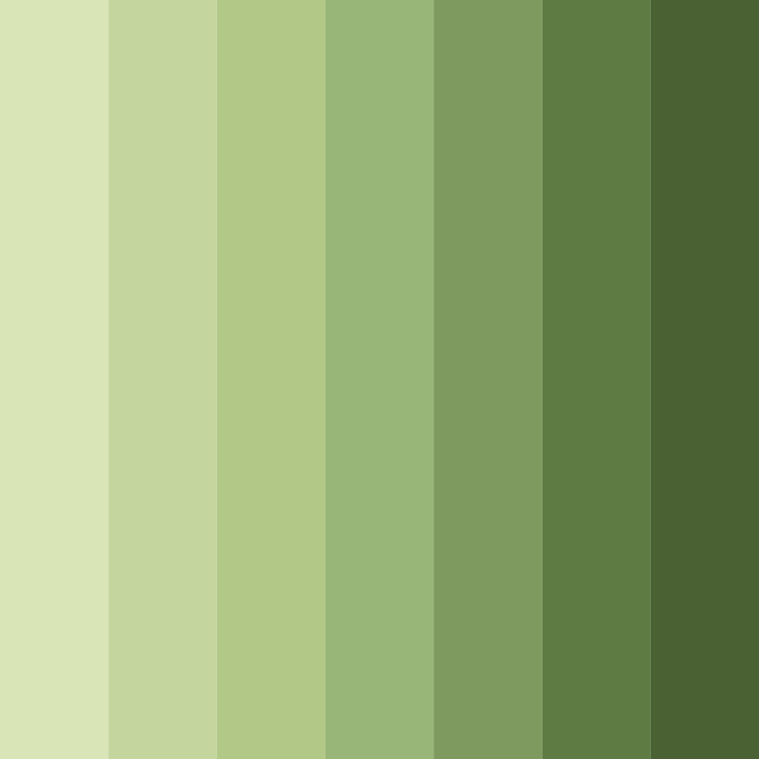 Download olive orchard serenity color palette PNG image (square)