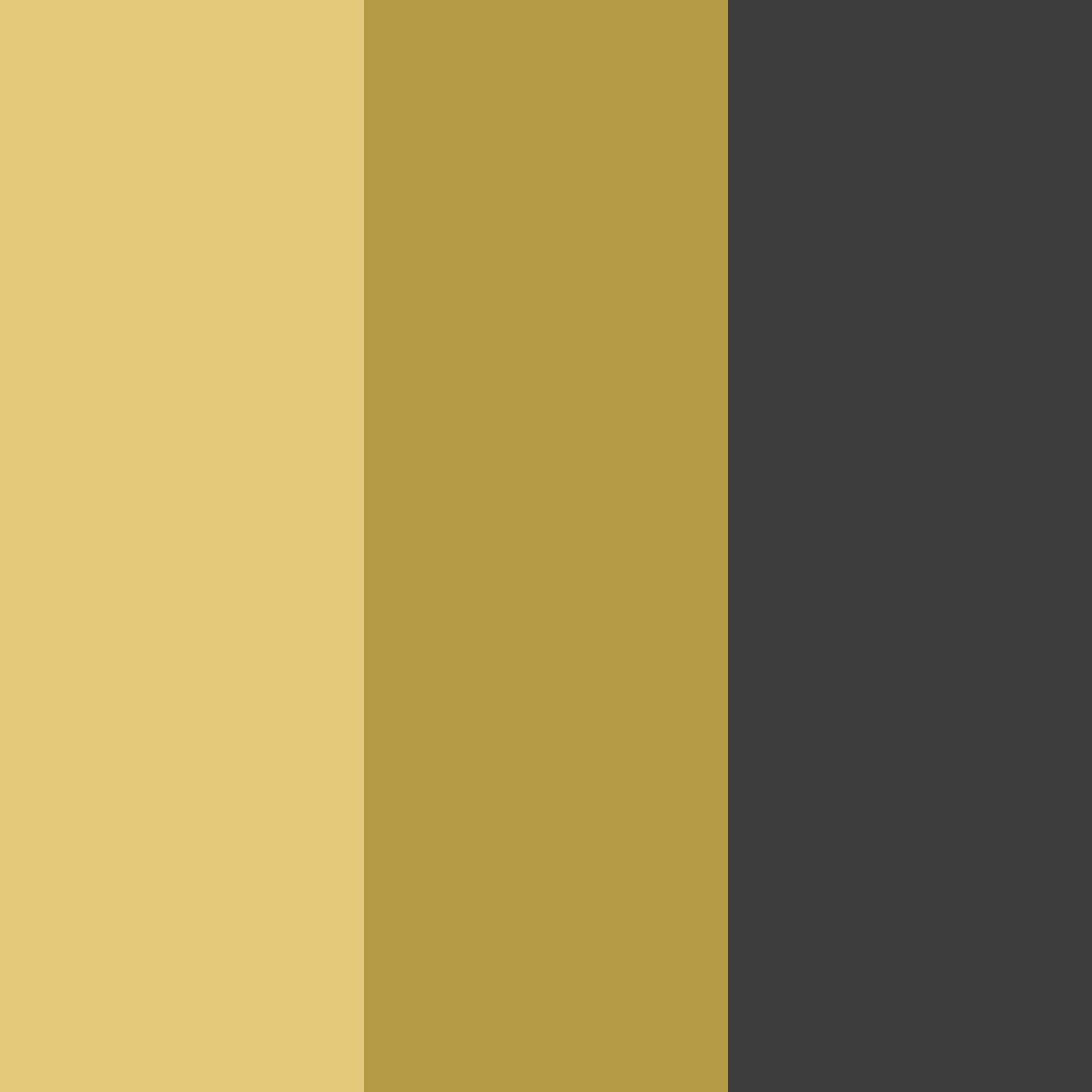 Download golden camel color palette PNG image (square)