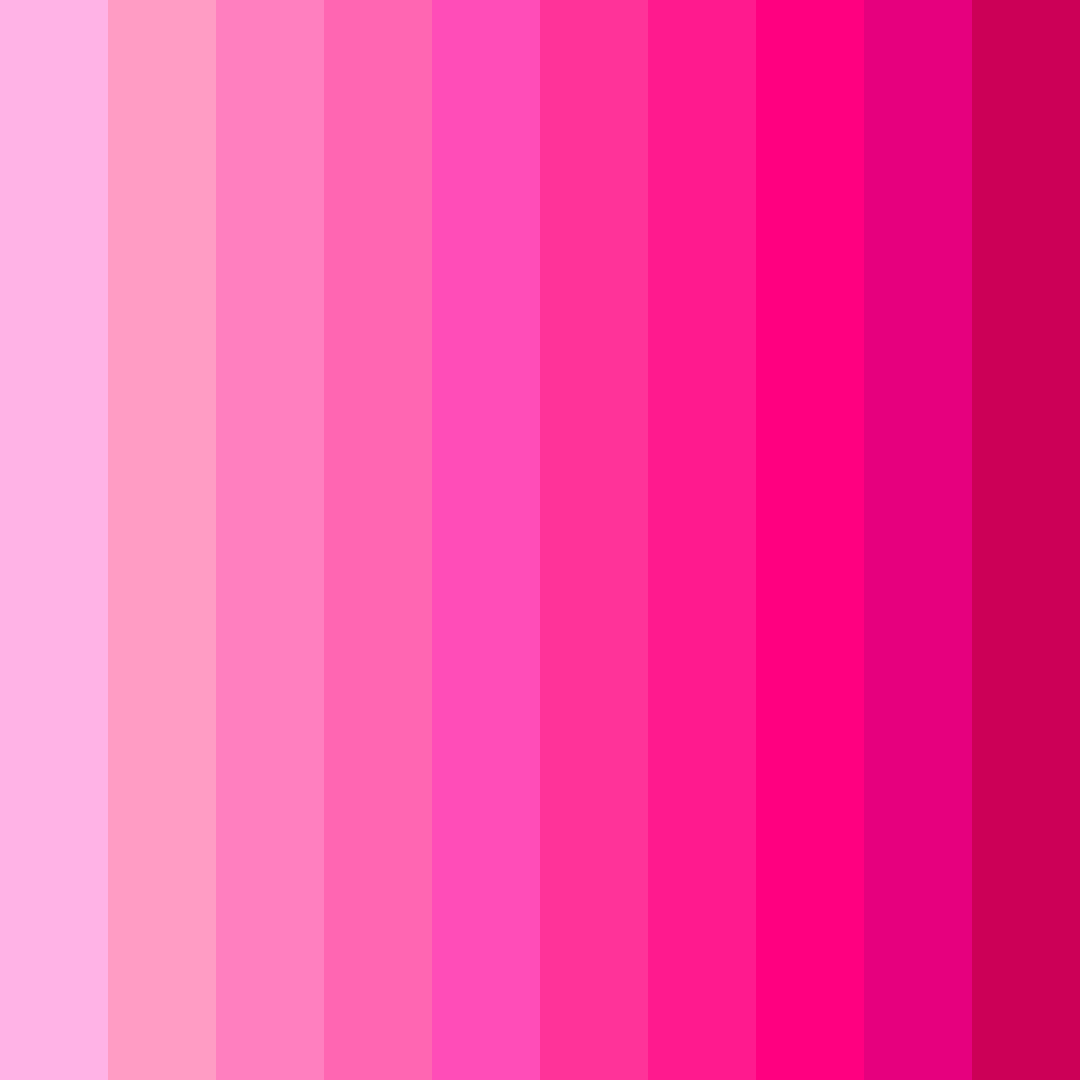 Download sweet chew delight color palette PNG image (square)