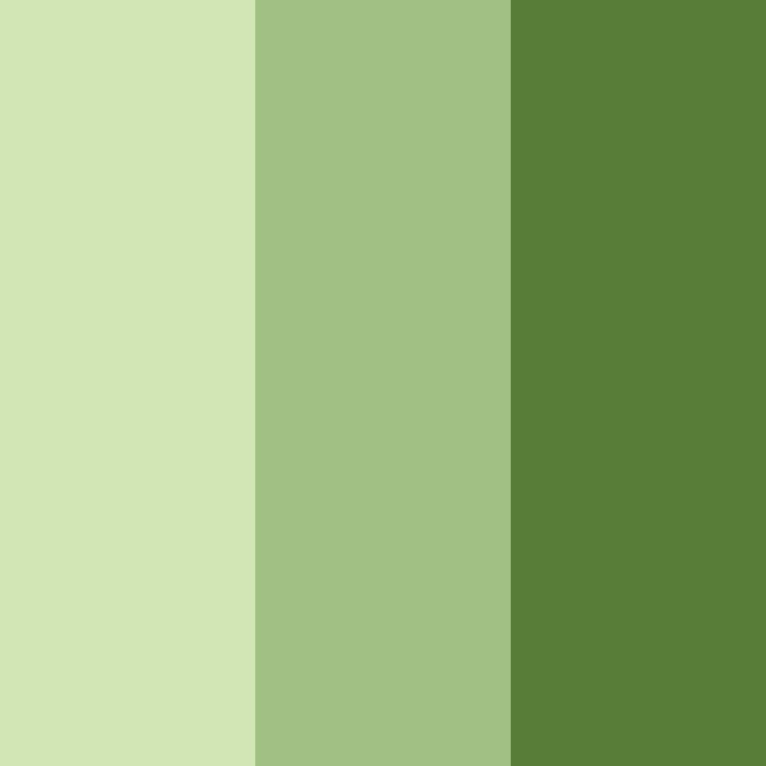 Download shades of olive green color palette PNG image (square)
