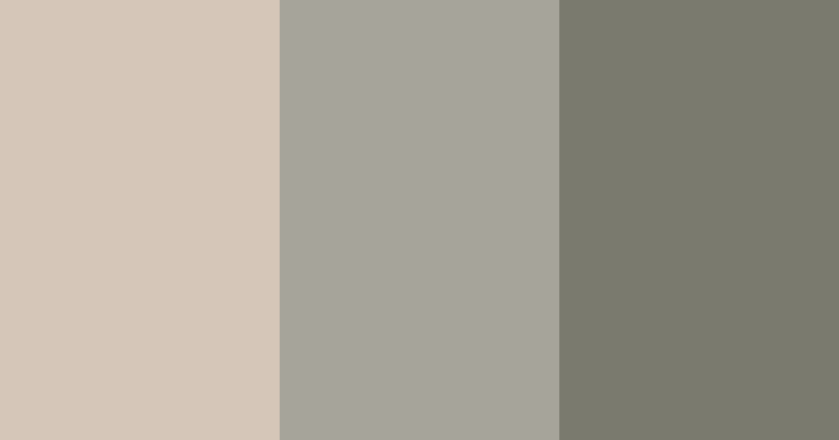 Download muted brown color palette PNG image (landscape)